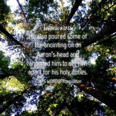 Picture 04 - Leviticus 8:12 GW - He also poured some of the anointing oil on - Bible Verse Picture