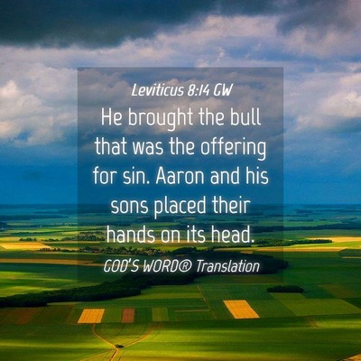Picture 04 - Leviticus 8:14 GW - He brought the bull that was the offering for - Bible Verse Picture