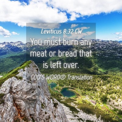 Picture 04 - Leviticus 8:32 GW - You must burn any meat or bread that is left - Bible Verse Picture
