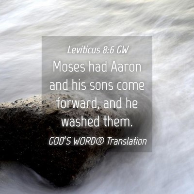 Picture 04 - Leviticus 8:6 GW - Moses had Aaron and his sons come forward, and he - Bible Verse Picture