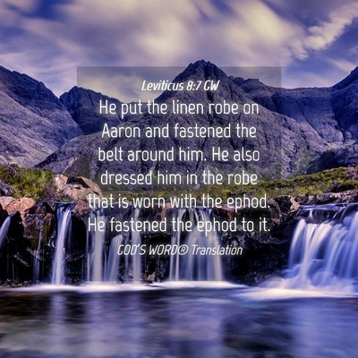 Picture 04 - Leviticus 8:7 GW - He put the linen robe on Aaron and fastened the - Bible Verse Picture