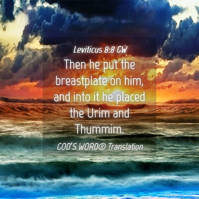 Picture 04 - Leviticus 8:8 GW - Then he put the breastplate on him, and into it - Bible Verse Picture
