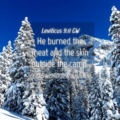 Picture 04 - Leviticus 9:11 GW - He burned the meat and the skin outside the - Bible Verse Picture