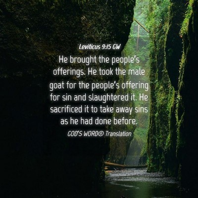 Picture 04 - Leviticus 9:15 GW - He brought the people’s offerings. He took the - Bible Verse Picture