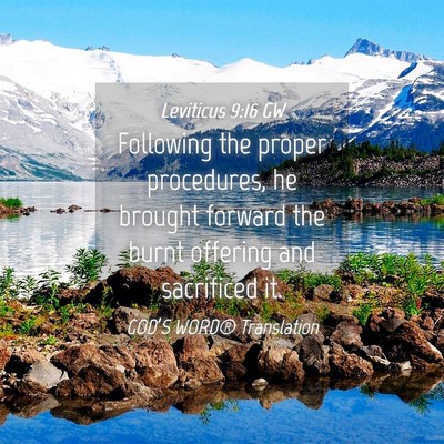 Picture 04 - Leviticus 9:16 GW - Following the proper procedures, he brought - Bible Verse Picture
