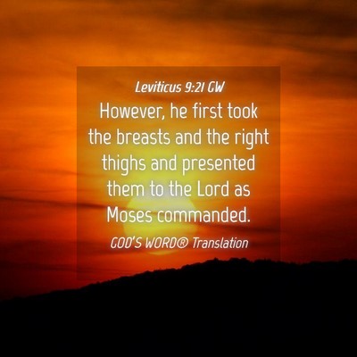 Picture 04 - Leviticus 9:21 GW - However, he first took the breasts and the right - Bible Verse Picture