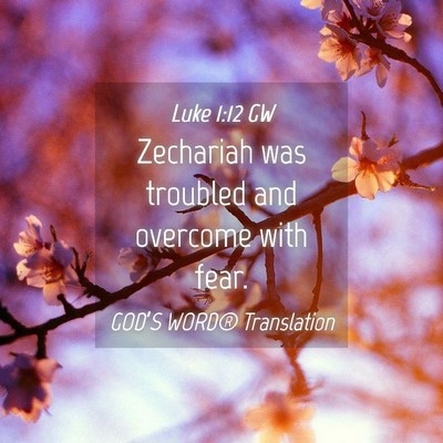 Picture 04 - Luke 1:12 GW - Zechariah was troubled and overcome with - Bible Verse Picture