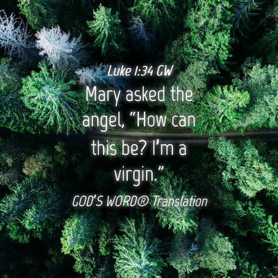 Picture 04 - Luke 1:34 GW - Mary asked the angel, “How can this be? I’m a - Bible Verse Picture