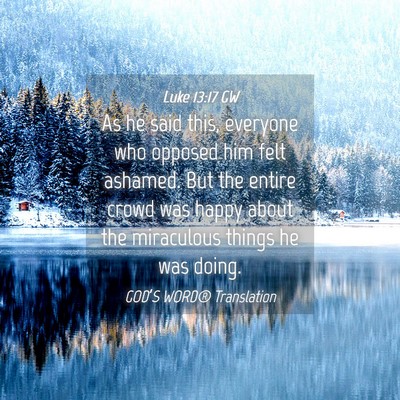 Picture 04 - Luke 13:17 GW - As he said this, everyone who opposed him felt - Bible Verse Picture