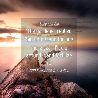 Picture 04 - Luke 13:8 GW - “The gardener replied, ‘Sir, let it stand for - Bible Verse Picture