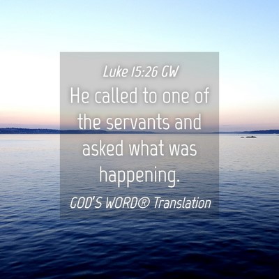 Picture 04 - Luke 15:26 GW - He called to one of the servants and asked what - Bible Verse Picture