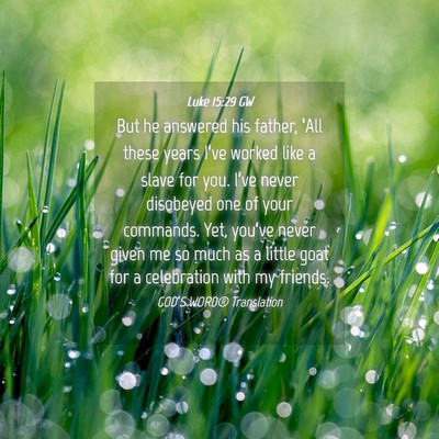 Picture 04 - Luke 15:29 GW - But he answered his father, ‘All these years - Bible Verse Picture