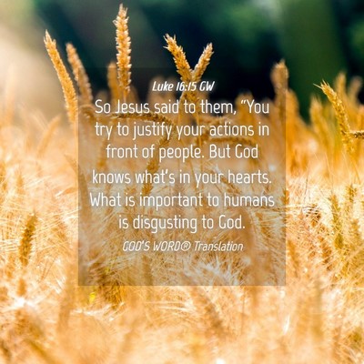 Picture 04 - Luke 16:15 GW - So Jesus said to them, “You try to justify your - Bible Verse Picture