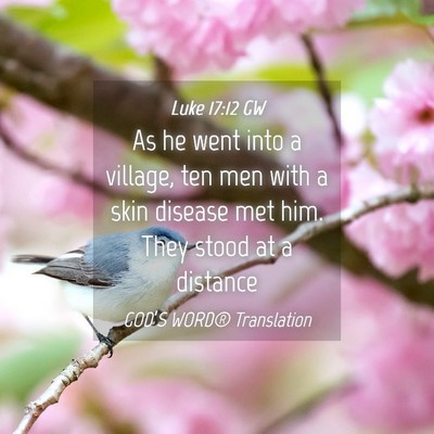 Picture 04 - Luke 17:12 GW - As he went into a village, ten men with a skin - Bible Verse Picture