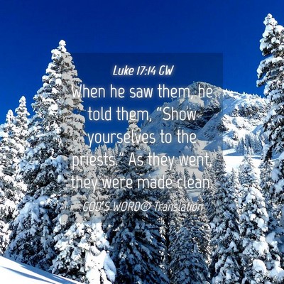 Picture 04 - Luke 17:14 GW - When he saw them, he told them, “Show - Bible Verse Picture
