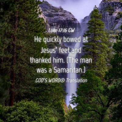 Picture 04 - Luke 17:16 GW - He quickly bowed at Jesus’ feet and thanked - Bible Verse Picture