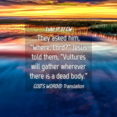 Picture 04 - Luke 17:37 GW - They asked him, “Where, Lord?” Jesus told - Bible Verse Picture