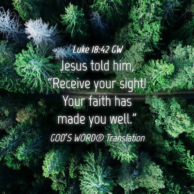 Picture 04 - Luke 18:42 GW - Jesus told him, “Receive your sight! Your faith - Bible Verse Picture