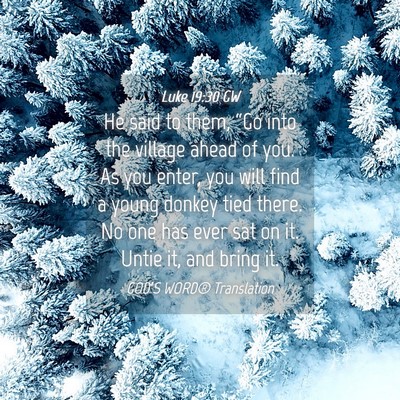 Picture 04 - Luke 19:30 GW - He said to them, “Go into the village ahead of - Bible Verse Picture