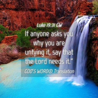 Picture 04 - Luke 19:31 GW - If anyone asks you why you are untying it, say - Bible Verse Picture