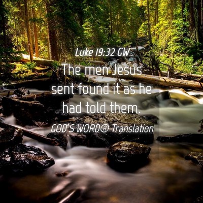 Picture 04 - Luke 19:32 GW - The men Jesus sent found it as he had told - Bible Verse Picture