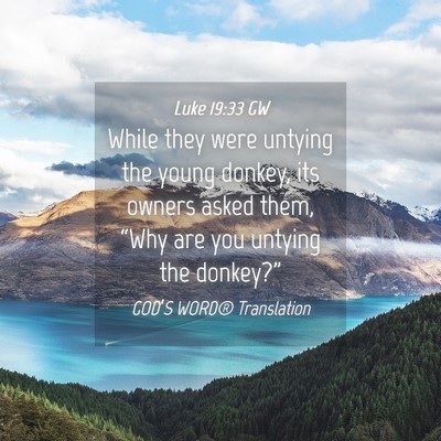 Picture 04 - Luke 19:33 GW - While they were untying the young donkey, its - Bible Verse Picture