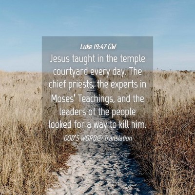 Picture 04 - Luke 19:47 GW - Jesus taught in the temple courtyard every day. - Bible Verse Picture