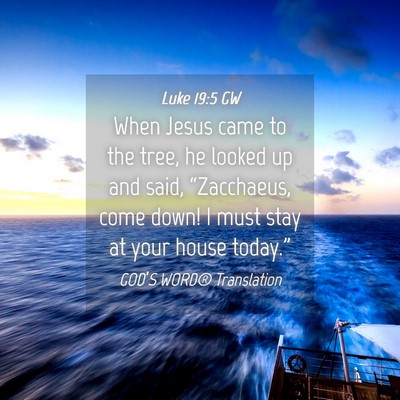 Picture 04 - Luke 19:5 GW - When Jesus came to the tree, he looked up and - Bible Verse Picture