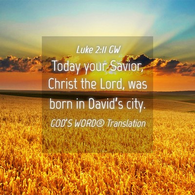 Picture 04 - Luke 2:11 GW - Today your Savior, Christ the Lord, was born in - Bible Verse Picture