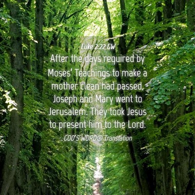 Picture 04 - Luke 2:22 GW - After the days required by Moses’ Teachings to - Bible Verse Picture
