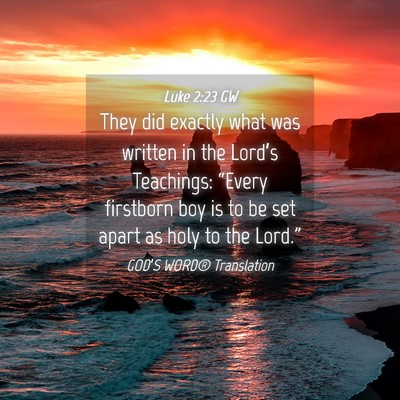 Picture 04 - Luke 2:23 GW - They did exactly what was written in the Lord’s - Bible Verse Picture