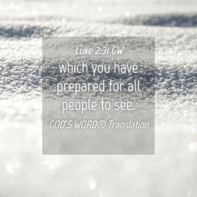 Picture 04 - Luke 2:31 GW - which you have prepared for all people to - Bible Verse Picture