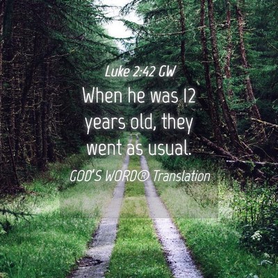 Picture 04 - Luke 2:42 GW - When he was 12 years old, they went as - Bible Verse Picture