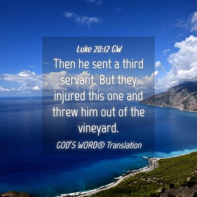 Picture 04 - Luke 20:12 GW - Then he sent a third servant. But they injured - Bible Verse Picture