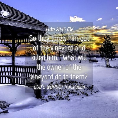 Picture 04 - Luke 20:15 GW - So they threw him out of the vineyard and killed - Bible Verse Picture