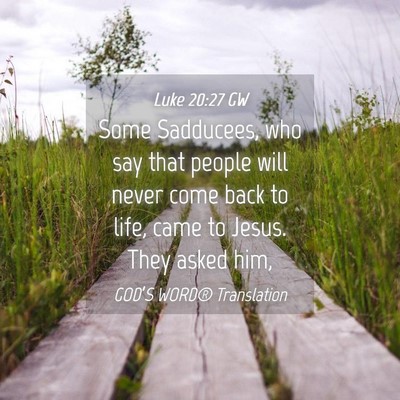 Picture 04 - Luke 20:27 GW - Some Sadducees, who say that people will never - Bible Verse Picture