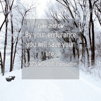 Picture 04 - Luke 21:19 GW - By your endurance you will save your - Bible Verse Picture