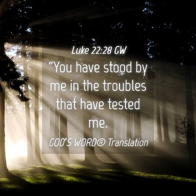 Picture 04 - Luke 22:28 GW - “You have stood by me in the troubles that have - Bible Verse Picture