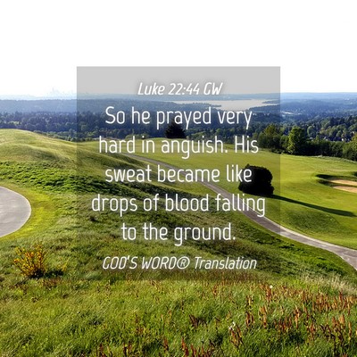 Picture 04 - Luke 22:44 GW - So he prayed very hard in anguish. His sweat - Bible Verse Picture