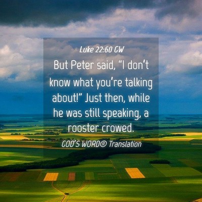 Picture 04 - Luke 22:60 GW - But Peter said, “I don’t know what you’re - Bible Verse Picture