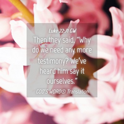 Picture 04 - Luke 22:71 GW - Then they said, “Why do we need any more - Bible Verse Picture