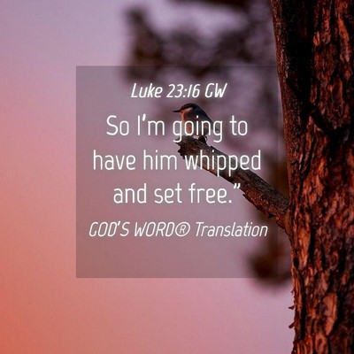 Picture 04 - Luke 23:16 GW - So I’m going to have him whipped and set - Bible Verse Picture