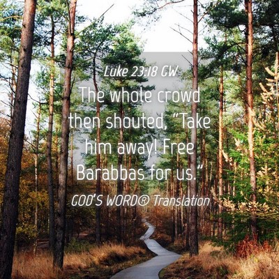 Picture 04 - Luke 23:18 GW - The whole crowd then shouted, “Take him away! - Bible Verse Picture