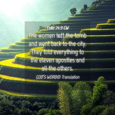Picture 04 - Luke 24:9 GW - The women left the tomb and went back to the - Bible Verse Picture