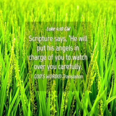 Picture 04 - Luke 4:10 GW - Scripture says, ‘He will put his angels in - Bible Verse Picture