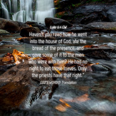 Picture 04 - Luke 6:4 GW - Haven’t you read how he went into the house of - Bible Verse Picture