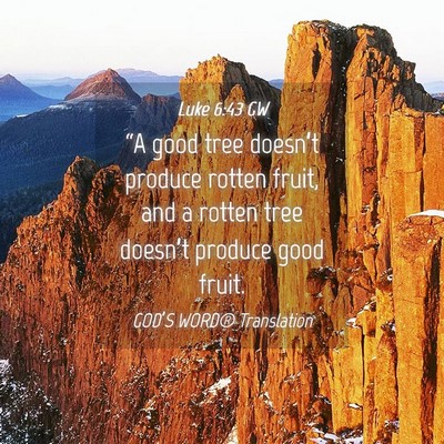 Picture 04 - Luke 6:43 GW - “A good tree doesn’t produce rotten fruit, - Bible Verse Picture