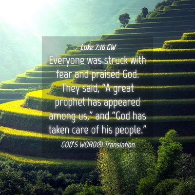 Picture 04 - Luke 7:16 GW - Everyone was struck with fear and praised God. - Bible Verse Picture