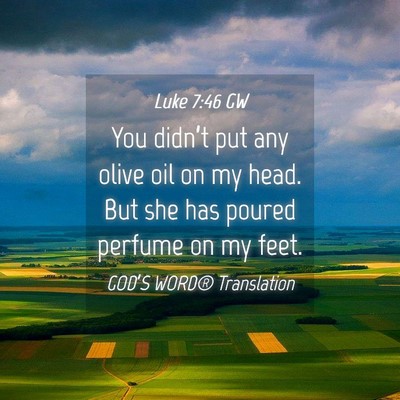 Picture 04 - Luke 7:46 GW - You didn’t put any olive oil on my head. But - Bible Verse Picture