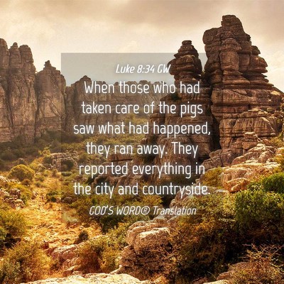 Picture 04 - Luke 8:34 GW - When those who had taken care of the pigs saw - Bible Verse Picture